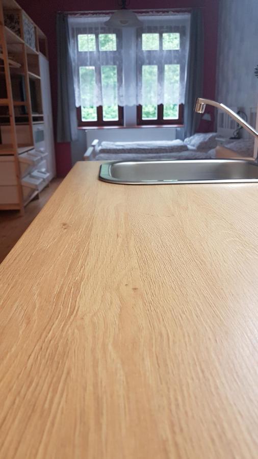 Apartman U Vaclava V Centru Mesta Litomysl Luaran gambar